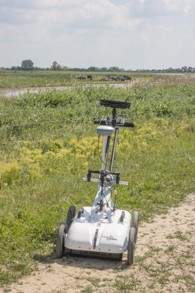Non-Destructive GPR Investigation of Embankments in Hortobágy National Park